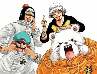 Heart Pirates