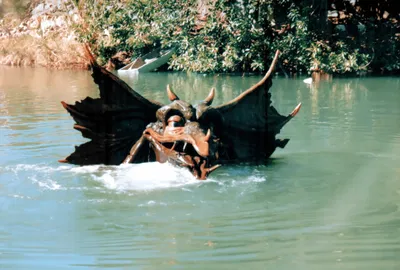 ¬Billabong Bunyip