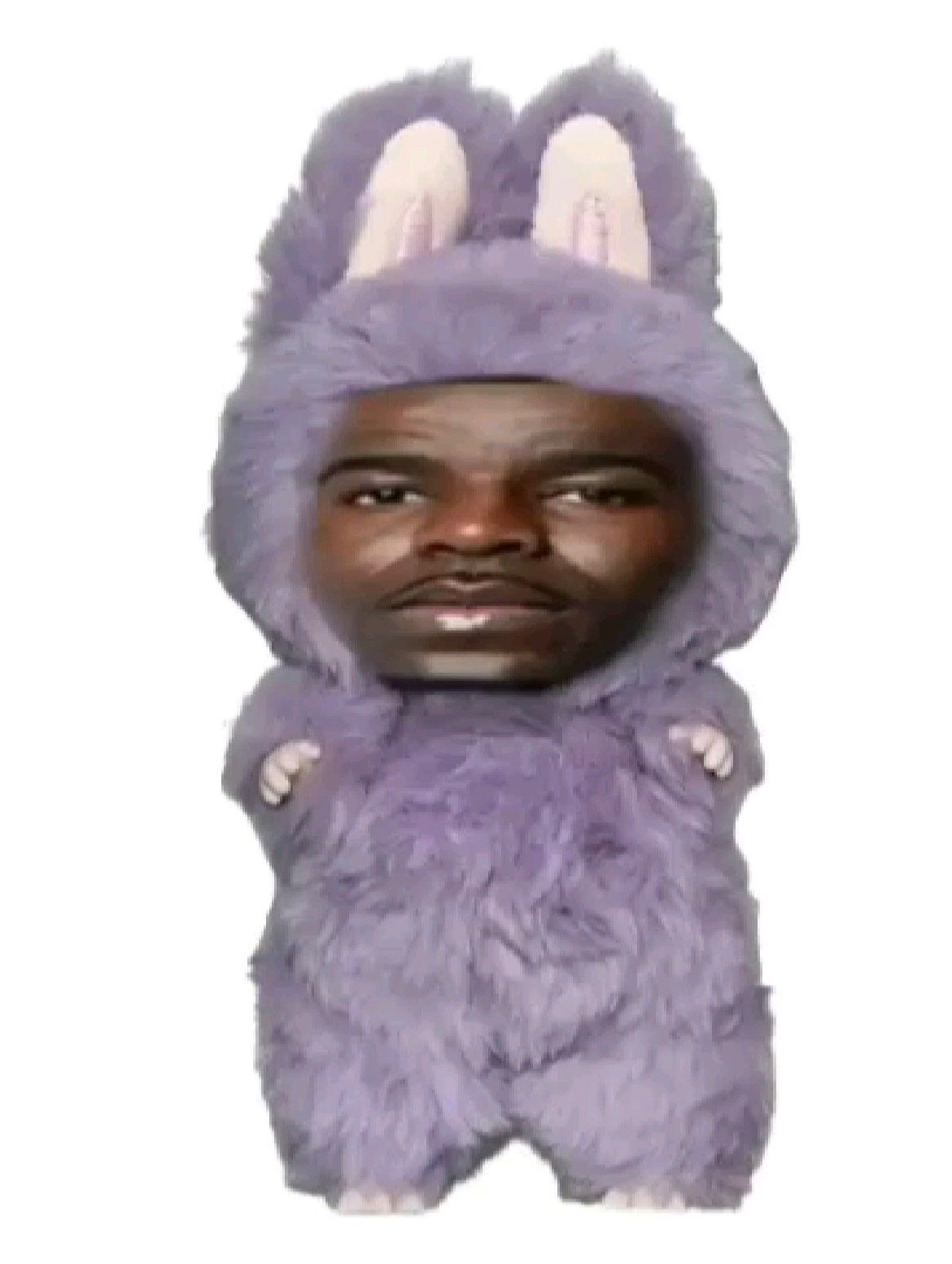 LABUBU CRAZE GONE WRONG