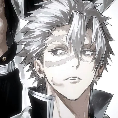CANON || Sanemi Shinazugawa