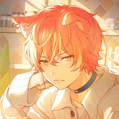 Akito Shinonome