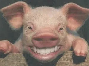 Pig man