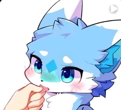 Furry pet