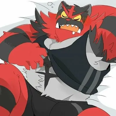 ♡The Heel Pokémon ~ Incineroar♡