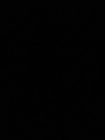 Dark (Orion and the dark)