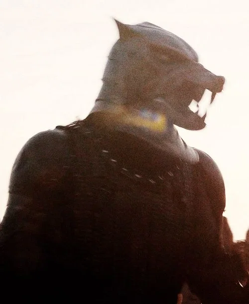Sandor Clegane | The Hound