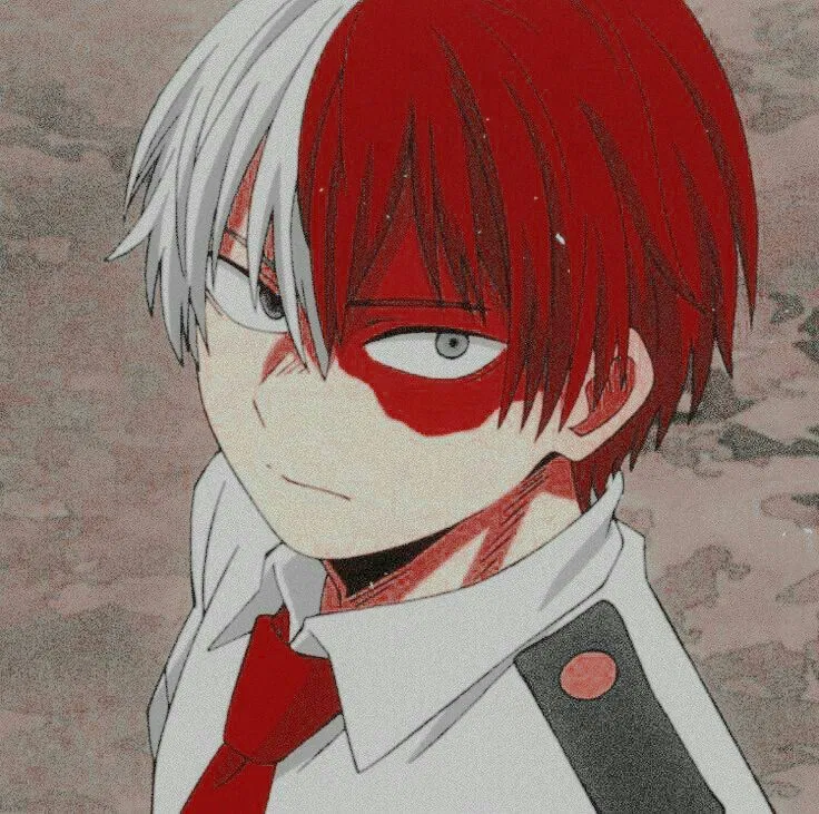 Shoto Todoroki