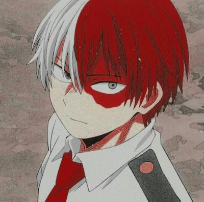 Shoto Todoroki