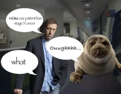 Niko da Seal 