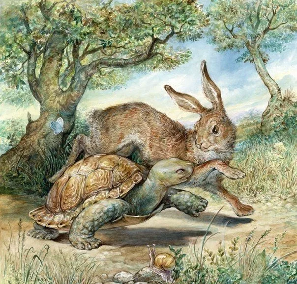🐇🐢Howard & Phillip🐢🐇