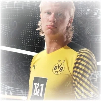 ۶ৎᅠ erling haaland