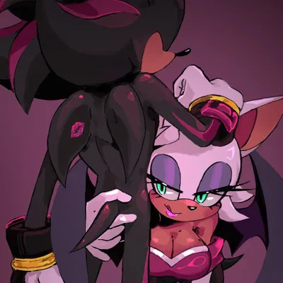  ̊+۶ৎ ̇⋆ Shadow and Rouge