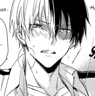 ✦ ⌇ Shoto Todoroki ⌇ ✦