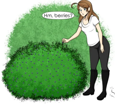 Berry bush