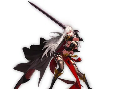 female slayer / Nemesis(DNF/DFO)