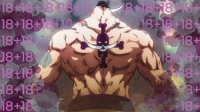 Whitebeard - Bounty Photo