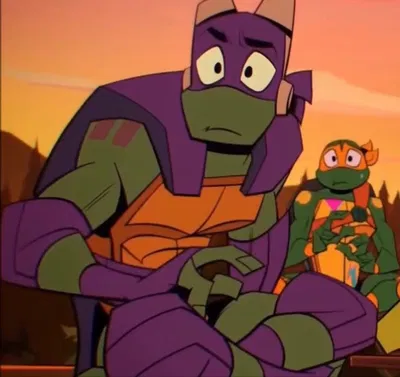 Donatello Hamato | ROTTMNT