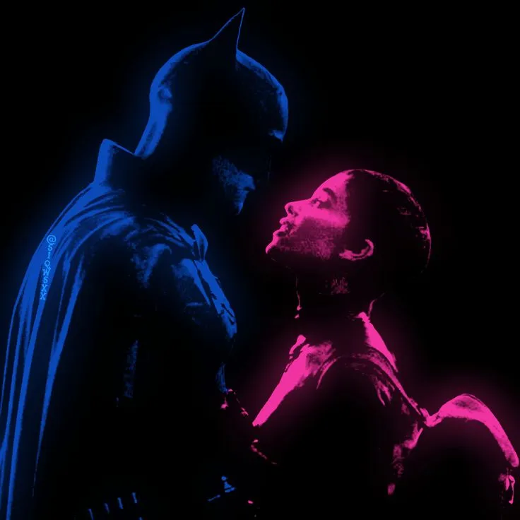 ୭  ̊. ᵎᵎ Batfamily + Selina