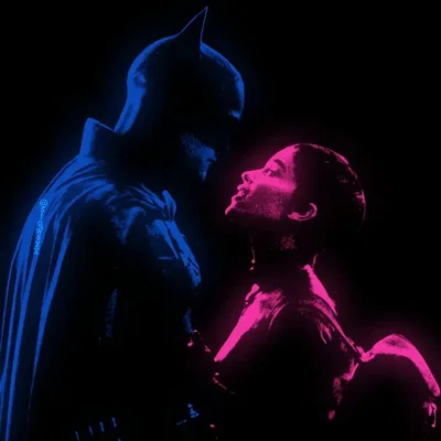 ୭  ̊. ᵎᵎ Batfamily + Selina