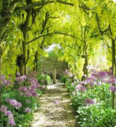 Your garden