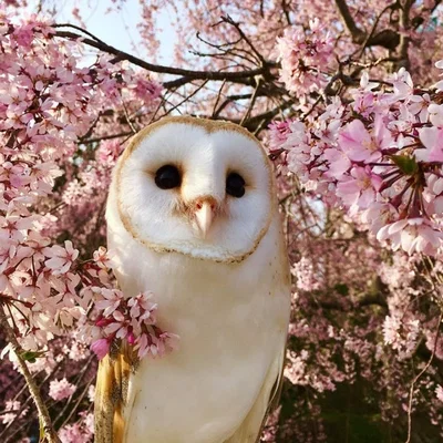 :)