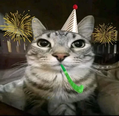 BIRTHDAY DAY