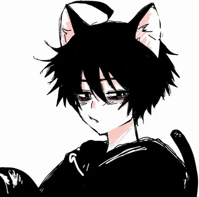 the helpful cat boy