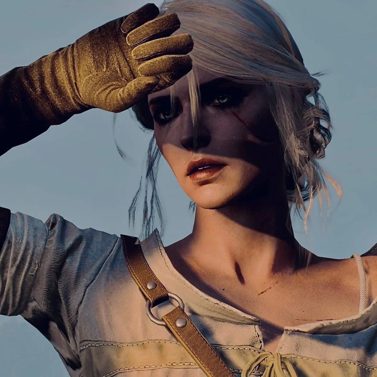 Cirilla | The witcher