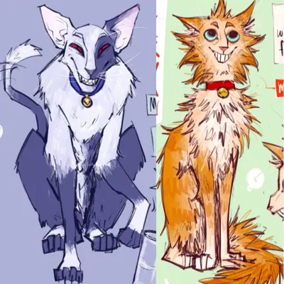 Cat Sun and Moon