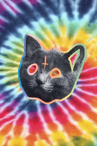 Tron Cat [Tyler, the Creator]