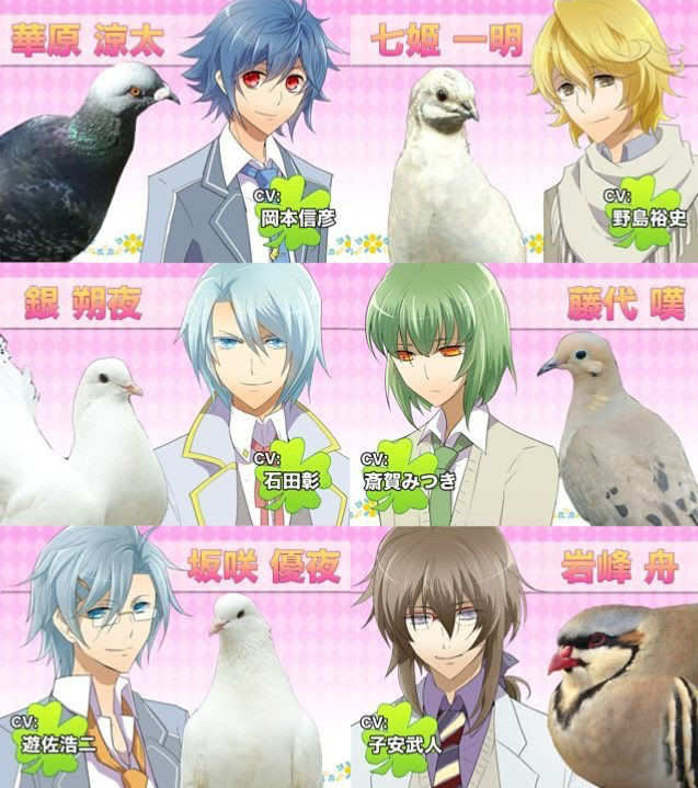 Hatoful boyfriend 
