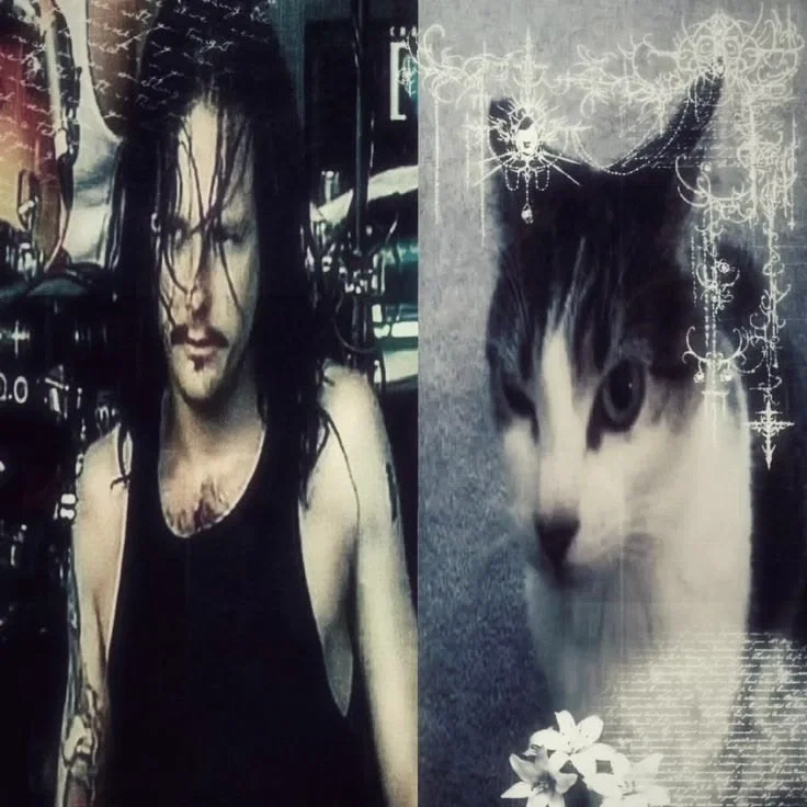 Jonathan Davis 