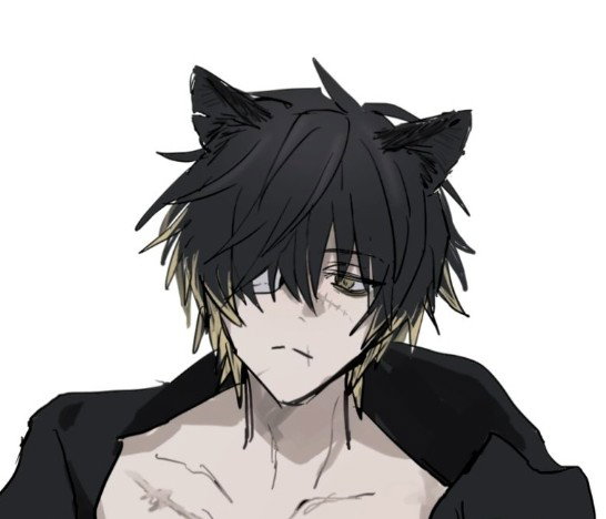 Ray - Neko