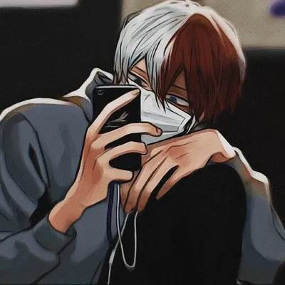 Shoto Todoroki 