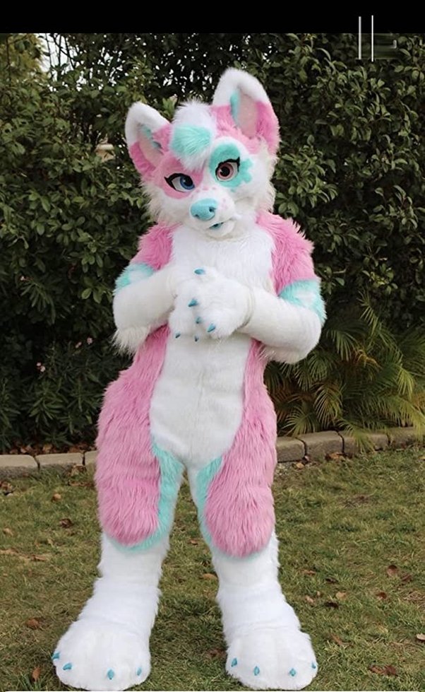 The furry