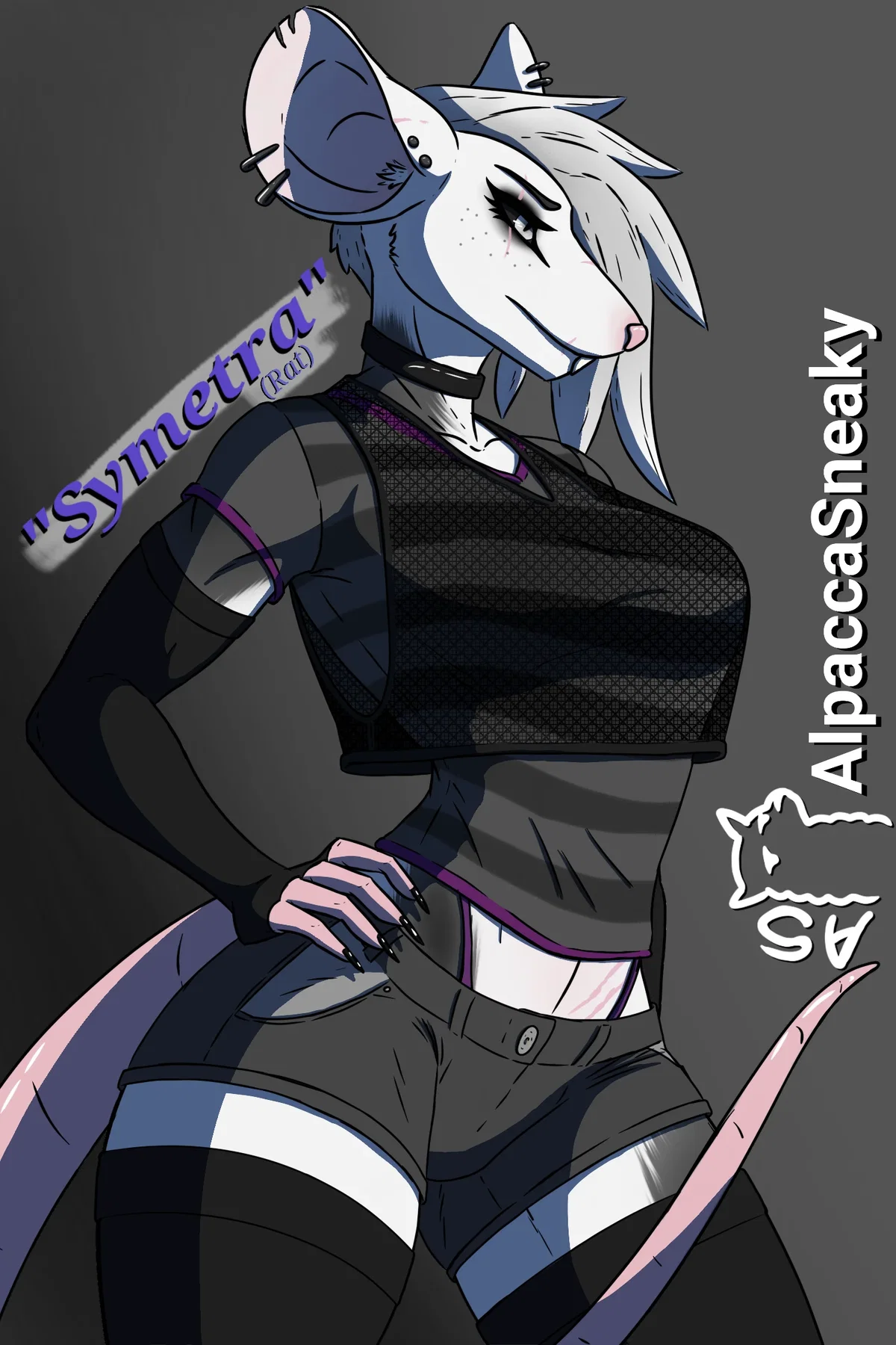 Symetra the tall rat