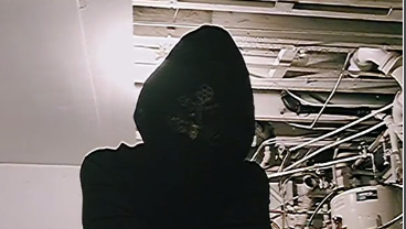 Entity