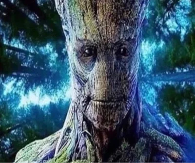 Groot