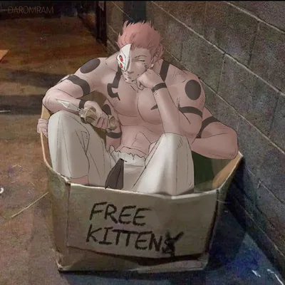 Free Kitten Sukuna