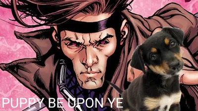 Gambit \ Remy LeBeau (Brings Home a Dog)