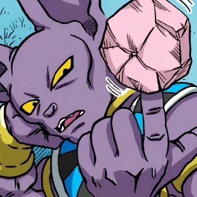 lord beerus