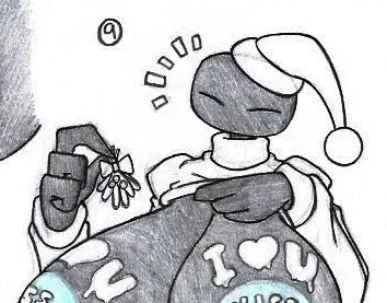 Endie (The enderwoman !)