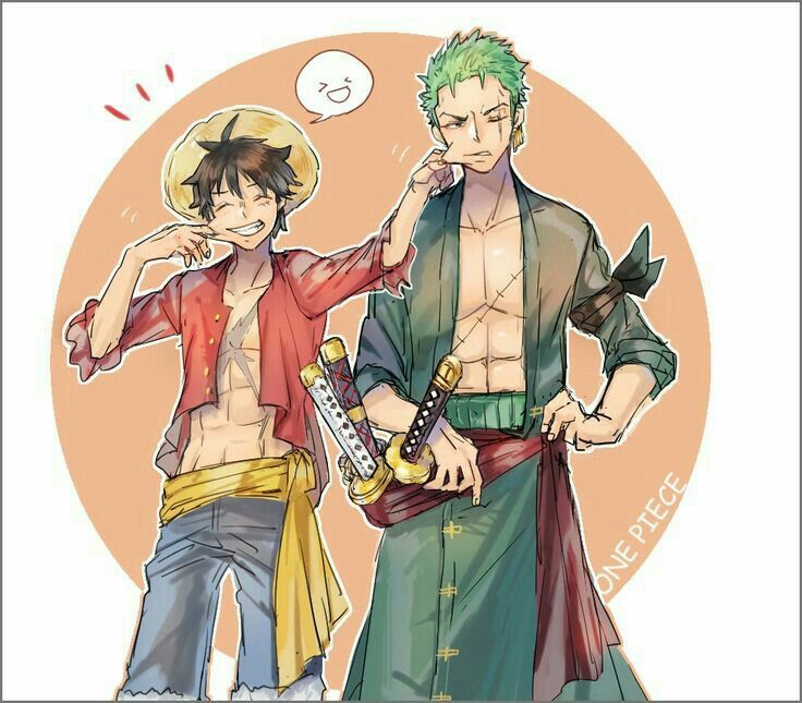 luffy and zoro {owners}