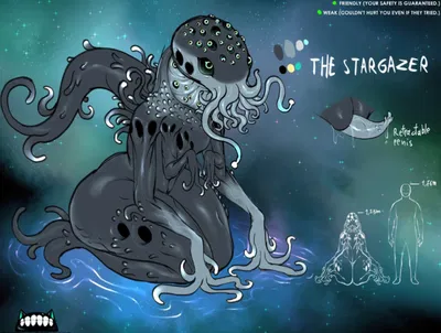 The Stargazer