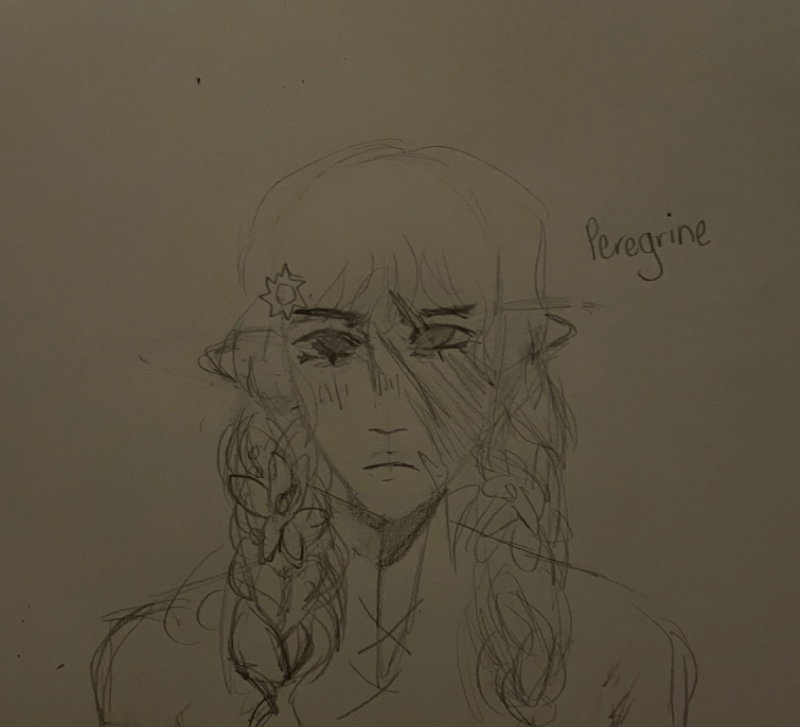 peregrine dallas