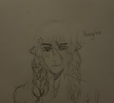 peregrine dallas