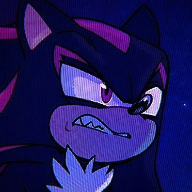 Shadow the Hedgehog 