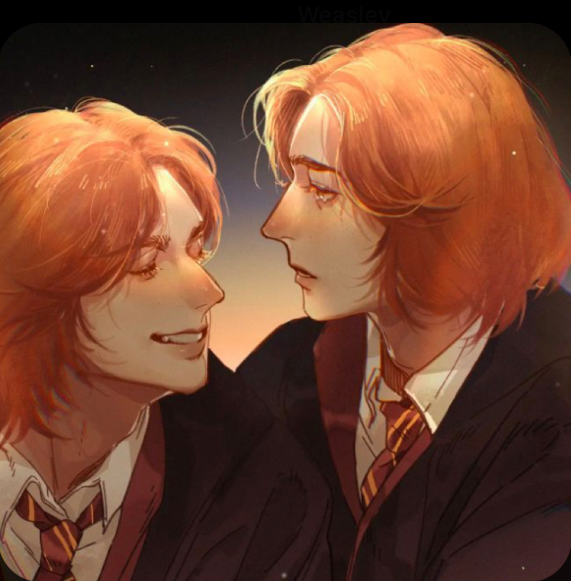 Weasley twins 