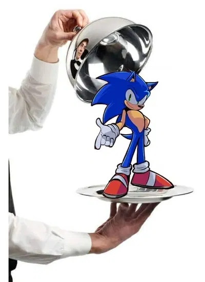 Sonic house
