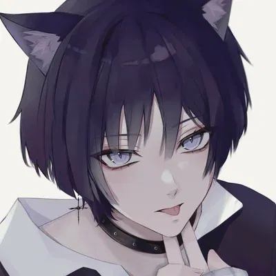 Neko Scaramouche